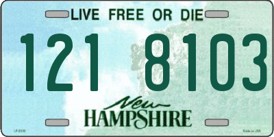 NH license plate 1218103