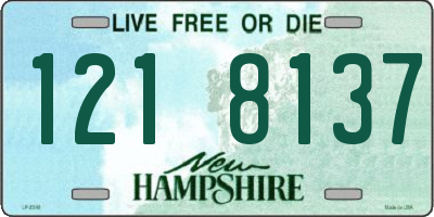 NH license plate 1218137