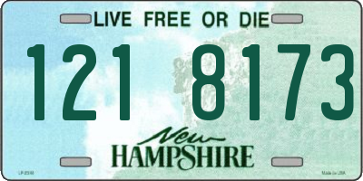NH license plate 1218173