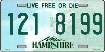NH license plate 1218199