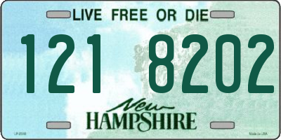 NH license plate 1218202