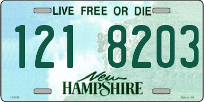 NH license plate 1218203