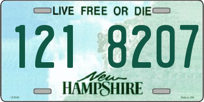 NH license plate 1218207