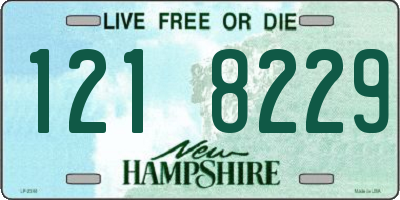 NH license plate 1218229