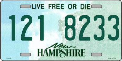 NH license plate 1218233