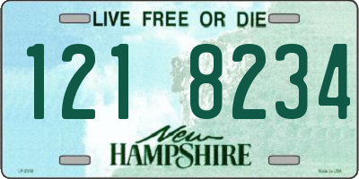 NH license plate 1218234