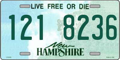 NH license plate 1218236