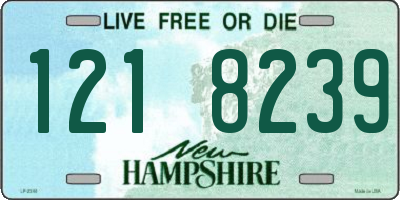 NH license plate 1218239