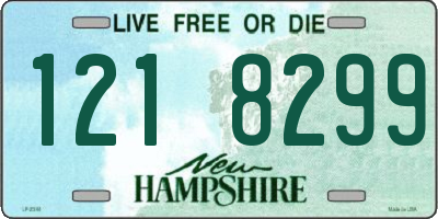 NH license plate 1218299