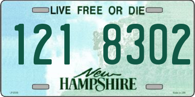 NH license plate 1218302