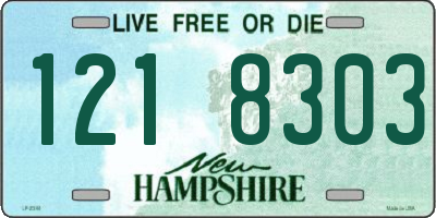 NH license plate 1218303