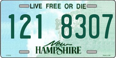 NH license plate 1218307