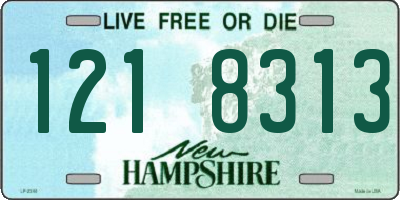 NH license plate 1218313