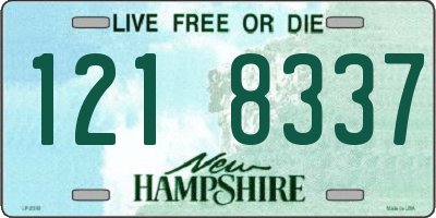 NH license plate 1218337