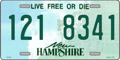 NH license plate 1218341