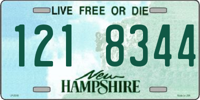 NH license plate 1218344