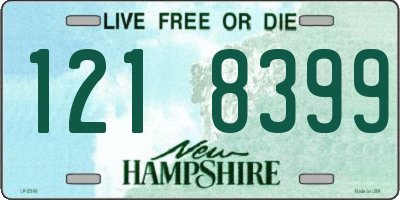 NH license plate 1218399
