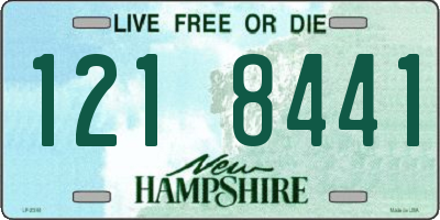 NH license plate 1218441