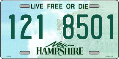 NH license plate 1218501