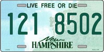 NH license plate 1218502