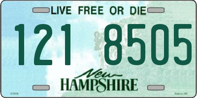 NH license plate 1218505