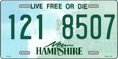 NH license plate 1218507