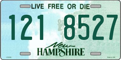 NH license plate 1218527