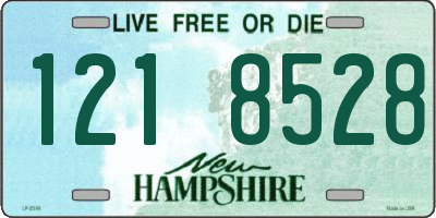NH license plate 1218528