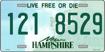 NH license plate 1218529