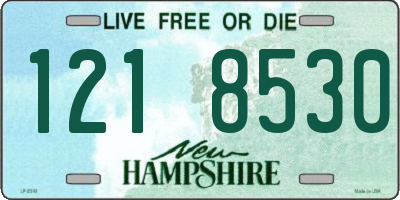 NH license plate 1218530
