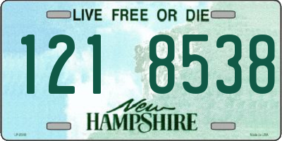 NH license plate 1218538