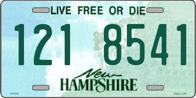 NH license plate 1218541