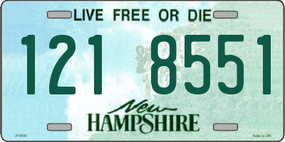 NH license plate 1218551