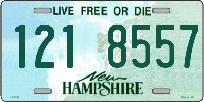 NH license plate 1218557