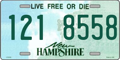 NH license plate 1218558