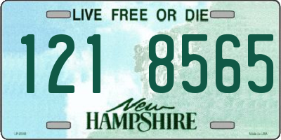 NH license plate 1218565