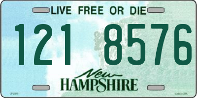 NH license plate 1218576