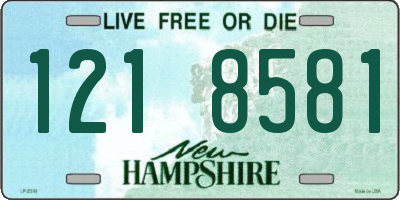 NH license plate 1218581
