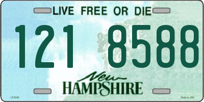 NH license plate 1218588