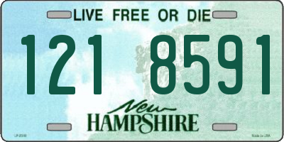 NH license plate 1218591