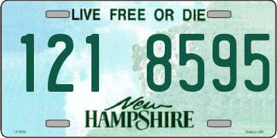 NH license plate 1218595