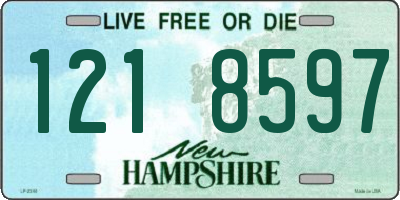 NH license plate 1218597