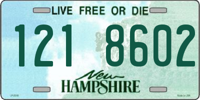 NH license plate 1218602