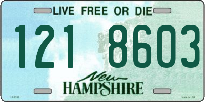 NH license plate 1218603