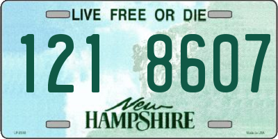 NH license plate 1218607