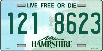 NH license plate 1218623
