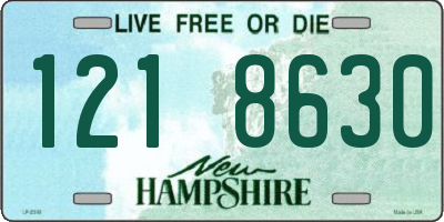 NH license plate 1218630