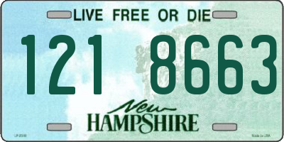 NH license plate 1218663