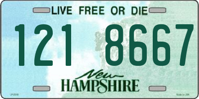NH license plate 1218667