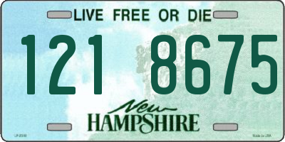 NH license plate 1218675